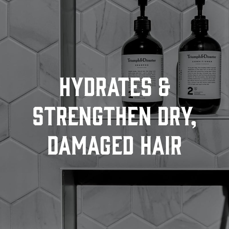 TRIUMPH & DISASTER | Shampoo, Deep Cleansing - Soothes & Hydrates Sensitive, Dry and Damaged Hair & Scalp with Keratin for Men & Women, 16.9 fl oz - Image 3